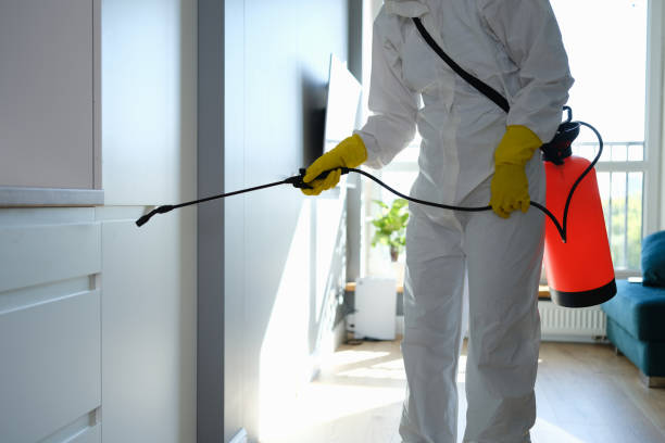 Best Toxic Mold Removal  in Williams, AZ