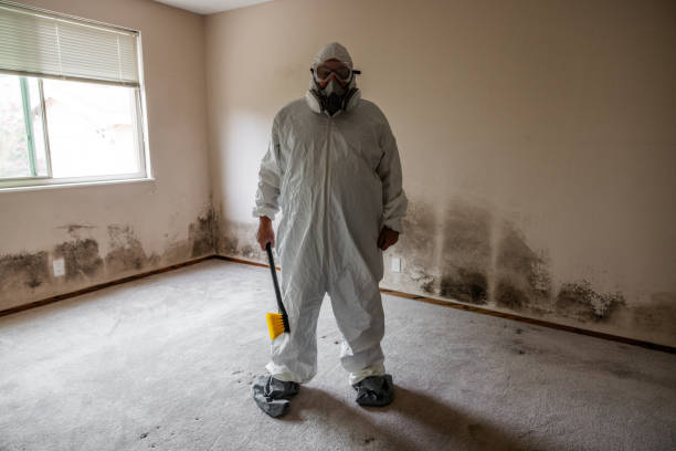 Best Office Mold Removal Services  in Williams, AZ